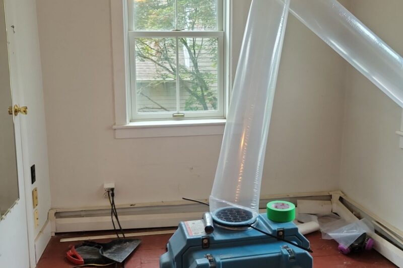 Comprehensive Mold Removal in Union City: Restore Your Home’s Health